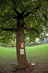 IMG 1570