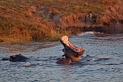 IMG 7531
