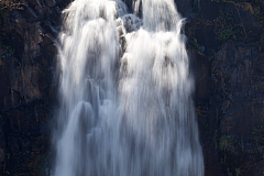 IMG 7879