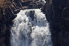 IMG 7882
