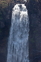 IMG 7895