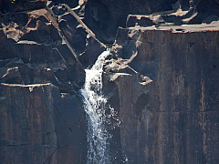 IMG 7976