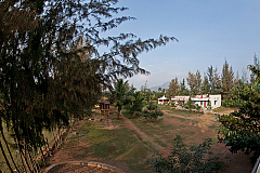 2011-01-06 16-39-07 IMG 0766