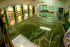 IMG 4492