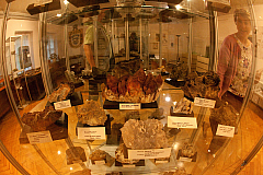 IMG 4524