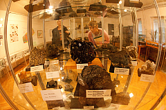 IMG 4526