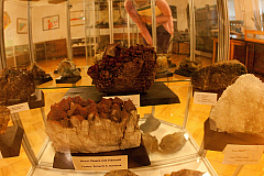 IMG 4529