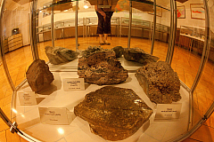 IMG 4536