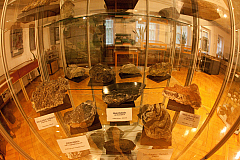 IMG 4539