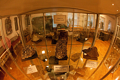 IMG 4540