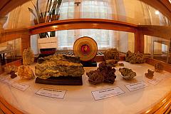 IMG 4546