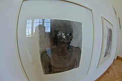 IMG 5521