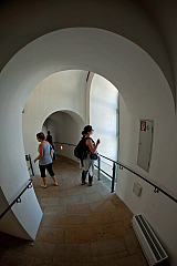 IMG 5617