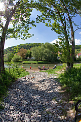 IMG 0055
