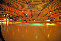 IMG_3784.jpg