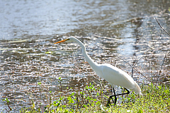 IMG_5552.jpg