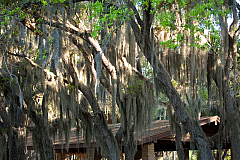 IMG_5865.jpg