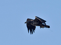 IMG_6003.jpg