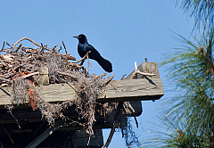 IMG_6111.jpg