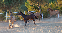 20110625203029 7273