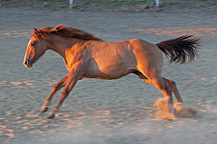 20110625204137 7442