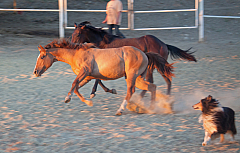 20110625204315 7473