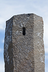 20110624111036 6134