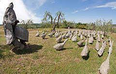 20110624111325 3877