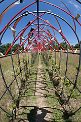 20110624113704 3931