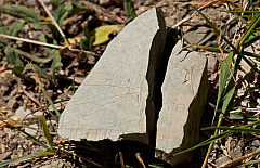 20110624120235 6342