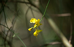 20110624122735 6416