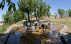 20110624124336 4071