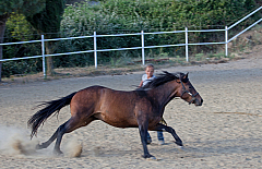 20110618184210 3403