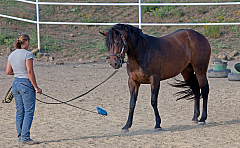 20110618184255 3415