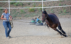 20110618184334 3423