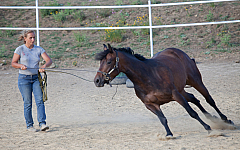20110618184334 3424