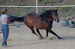 20110618184337 3428