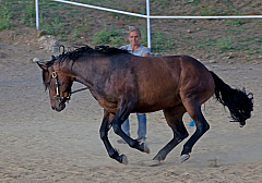 20110618184343 3437