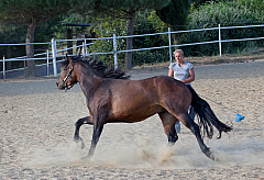 20110618184427 3443