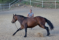 20110618184434 3446