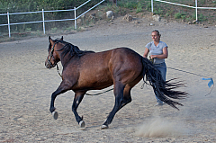 20110618184434 3447