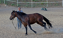 20110618184440 3450