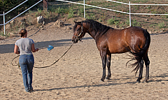 20110618184533 3461