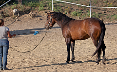 20110618184544 3466