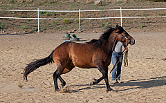 20110618184645 3471