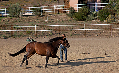 20110618184708 3478