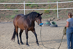 20110618184816 3489