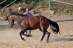 20110618184943 3498