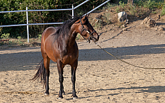 20110618185046 3506