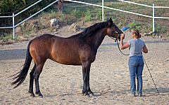 20110618185136 3510